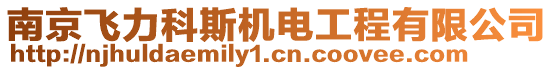 南京飞力科斯机电工程有限公司