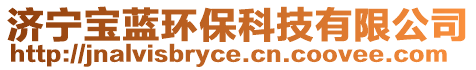 濟(jì)寧寶藍(lán)環(huán)保科技有限公司