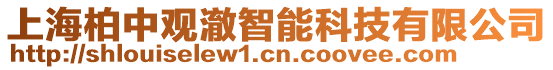 上海柏中觀澈智能科技有限公司