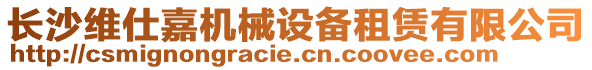 長沙維仕嘉機(jī)械設(shè)備租賃有限公司