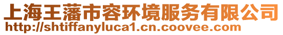 上海王藩市容環(huán)境服務有限公司