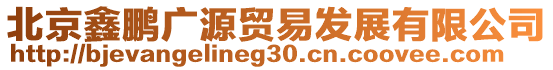 北京鑫鵬廣源貿(mào)易發(fā)展有限公司