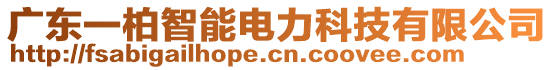 廣東一柏智能電力科技有限公司