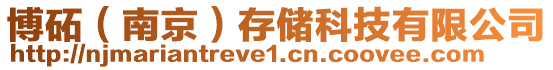 博砳（南京）存儲(chǔ)科技有限公司