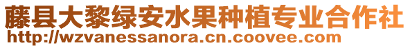 藤縣大黎綠安水果種植專業(yè)合作社