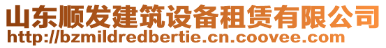 山東順發(fā)建筑設(shè)備租賃有限公司