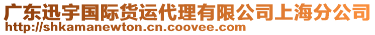 廣東迅宇國際貨運代理有限公司上海分公司