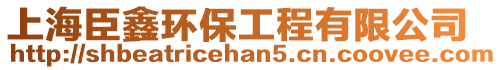 上海臣鑫環(huán)保工程有限公司