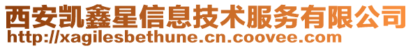 西安凱鑫星信息技術(shù)服務(wù)有限公司