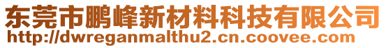 東莞市鵬峰新材料科技有限公司