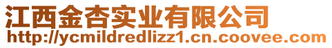 江西金杏實(shí)業(yè)有限公司