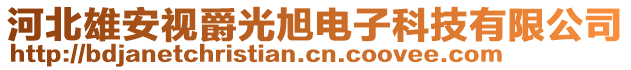 河北雄安視爵光旭電子科技有限公司