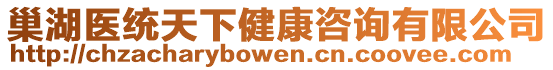 巢湖醫(yī)統(tǒng)天下健康咨詢有限公司