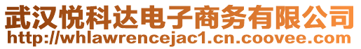 武漢悅科達(dá)電子商務(wù)有限公司