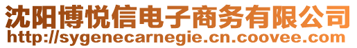 沈陽博悅信電子商務有限公司