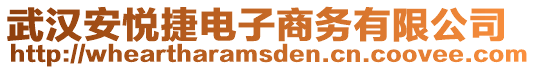 武漢安悅捷電子商務(wù)有限公司