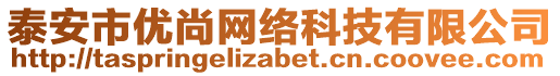 泰安市優(yōu)尚網(wǎng)絡(luò)科技有限公司