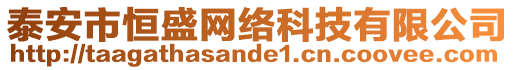 泰安市恒盛網(wǎng)絡(luò)科技有限公司