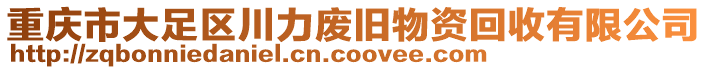 重慶市大足區(qū)川力廢舊物資回收有限公司