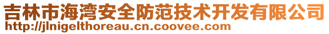 吉林市海灣安全防范技術開發(fā)有限公司