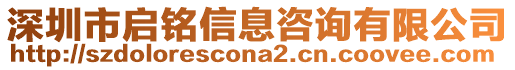 深圳市啟銘信息咨詢有限公司