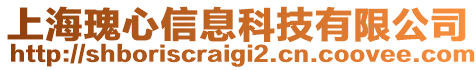 上海瑰心信息科技有限公司