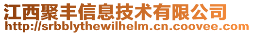 江西聚豐信息技術(shù)有限公司