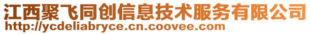 江西聚飞同创信息技术服务有限公司