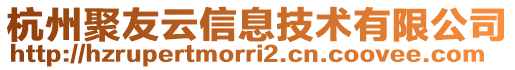 杭州聚友云信息技術(shù)有限公司