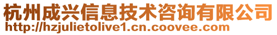 杭州成興信息技術(shù)咨詢有限公司