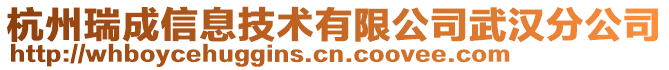 杭州瑞成信息技術有限公司武漢分公司