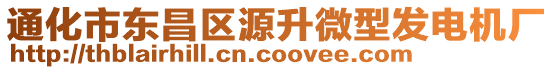 通化市東昌區(qū)源升微型發(fā)電機廠