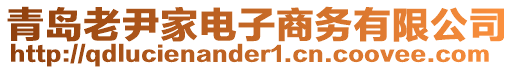 青島老尹家電子商務(wù)有限公司