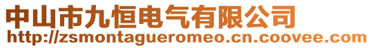 中山市九恒电气有限公司