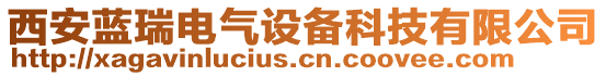 西安藍(lán)瑞電氣設(shè)備科技有限公司