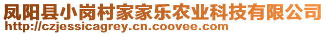 鳳陽(yáng)縣小崗村家家樂(lè)農(nóng)業(yè)科技有限公司