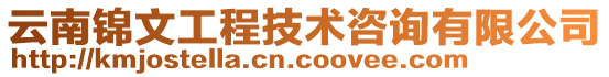 云南錦文工程技術(shù)咨詢有限公司