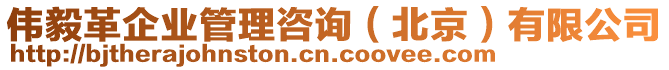 偉毅革企業(yè)管理咨詢（北京）有限公司