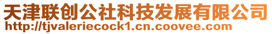 天津聯(lián)創(chuàng)公社科技發(fā)展有限公司