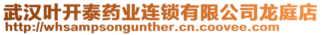 武漢葉開泰藥業(yè)連鎖有限公司龍庭店