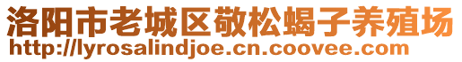 洛陽(yáng)市老城區(qū)敬松蝎子養(yǎng)殖場(chǎng)