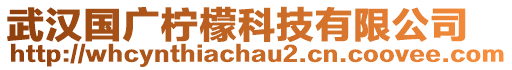 武漢國(guó)廣檸檬科技有限公司