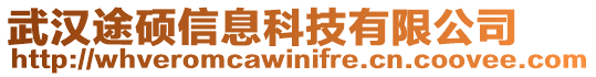 武漢途碩信息科技有限公司