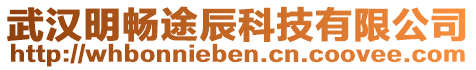 武漢明暢途辰科技有限公司