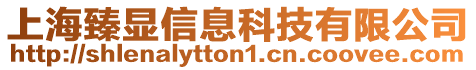 上海臻顯信息科技有限公司