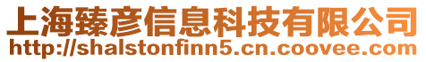 上海臻彥信息科技有限公司