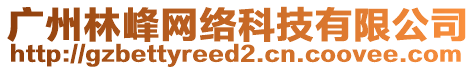 廣州林峰網(wǎng)絡(luò)科技有限公司