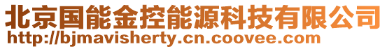 北京國(guó)能金控能源科技有限公司