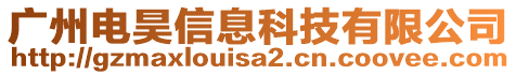 广州电昊信息科技有限公司