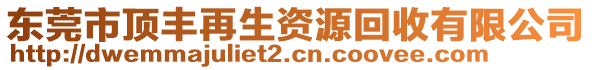 東莞市頂豐再生資源回收有限公司